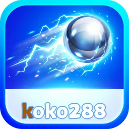 koko288